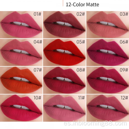 Lip Gloss Gloss Pigmented Lip -Lip -Lipstick líquido Matte